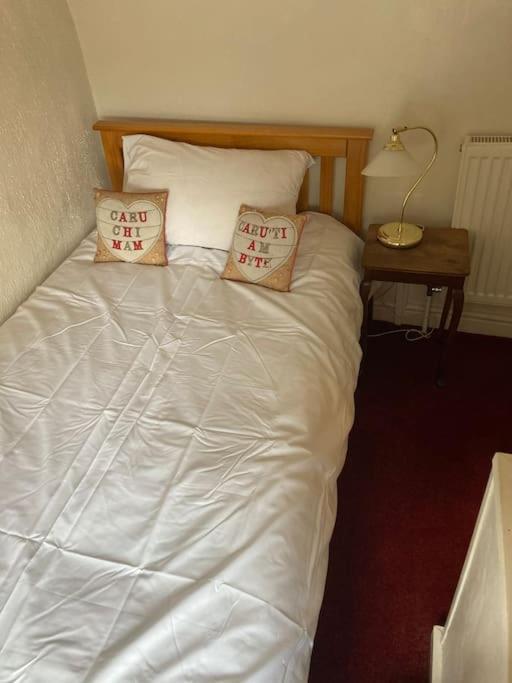 Lovely Peaceful 2 Bed Cottage Llandderfel Екстер'єр фото