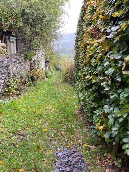 Lovely Peaceful 2 Bed Cottage Llandderfel Екстер'єр фото